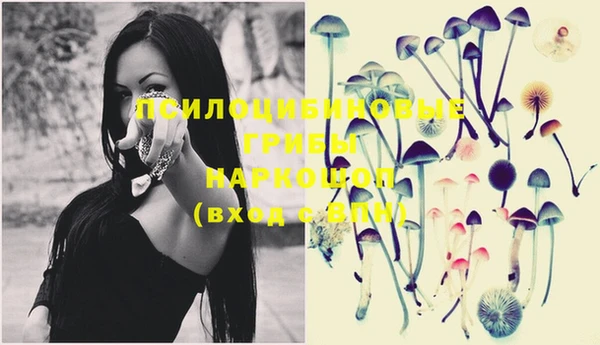 стафф Пролетарск